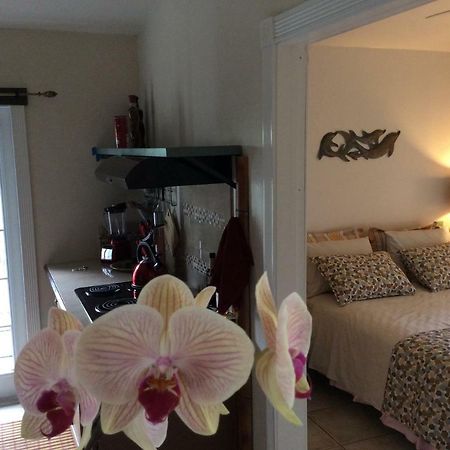 Mediteranean Style Ohana Rental / Garden Bungalow In Pahoa Honolulu Landing Εξωτερικό φωτογραφία