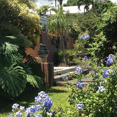 Mediteranean Style Ohana Rental / Garden Bungalow In Pahoa Honolulu Landing Εξωτερικό φωτογραφία