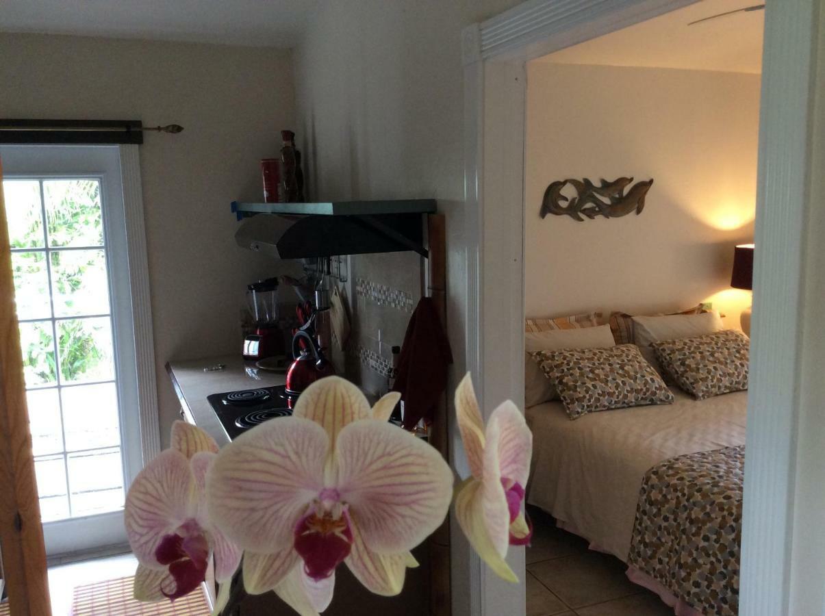 Mediteranean Style Ohana Rental / Garden Bungalow In Pahoa Honolulu Landing Εξωτερικό φωτογραφία