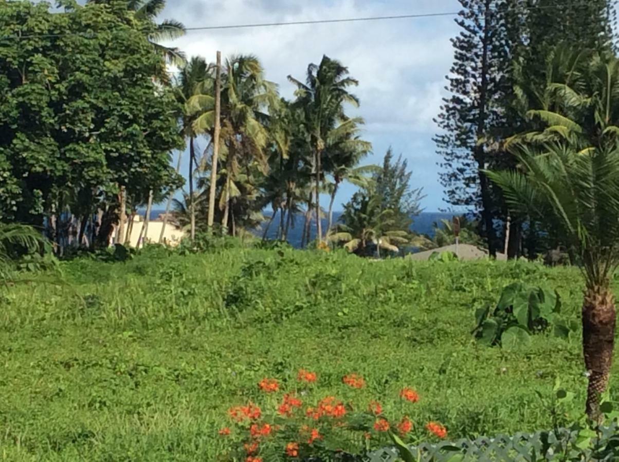 Mediteranean Style Ohana Rental / Garden Bungalow In Pahoa Honolulu Landing Εξωτερικό φωτογραφία