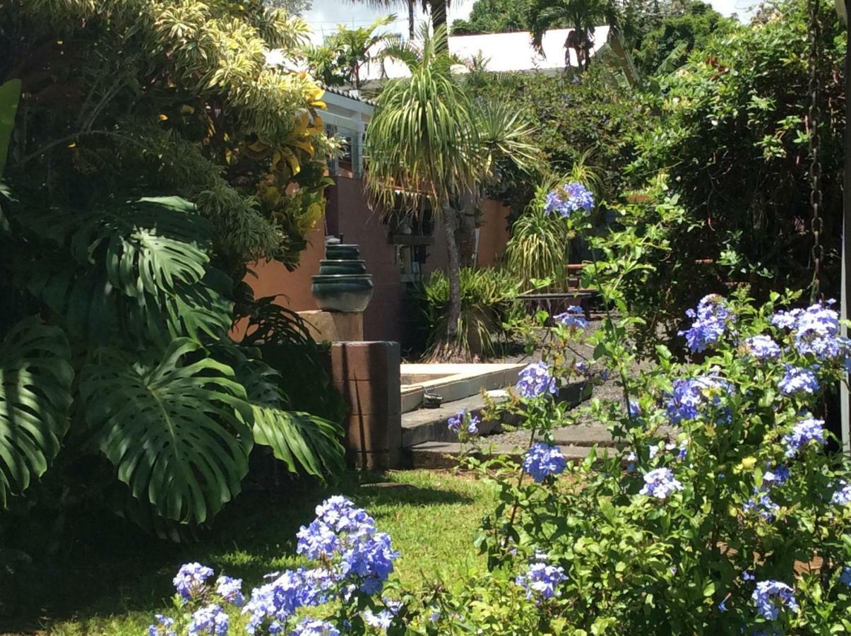 Mediteranean Style Ohana Rental / Garden Bungalow In Pahoa Honolulu Landing Εξωτερικό φωτογραφία