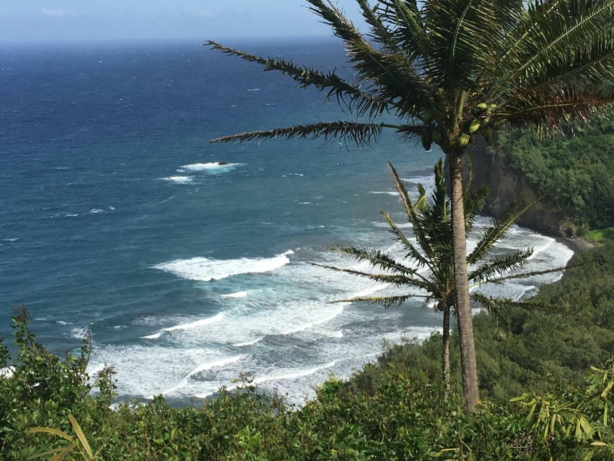 Mediteranean Style Ohana Rental / Garden Bungalow In Pahoa Honolulu Landing Εξωτερικό φωτογραφία