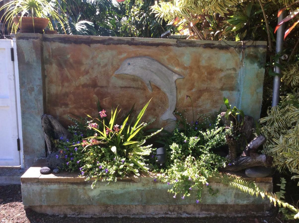 Mediteranean Style Ohana Rental / Garden Bungalow In Pahoa Honolulu Landing Εξωτερικό φωτογραφία