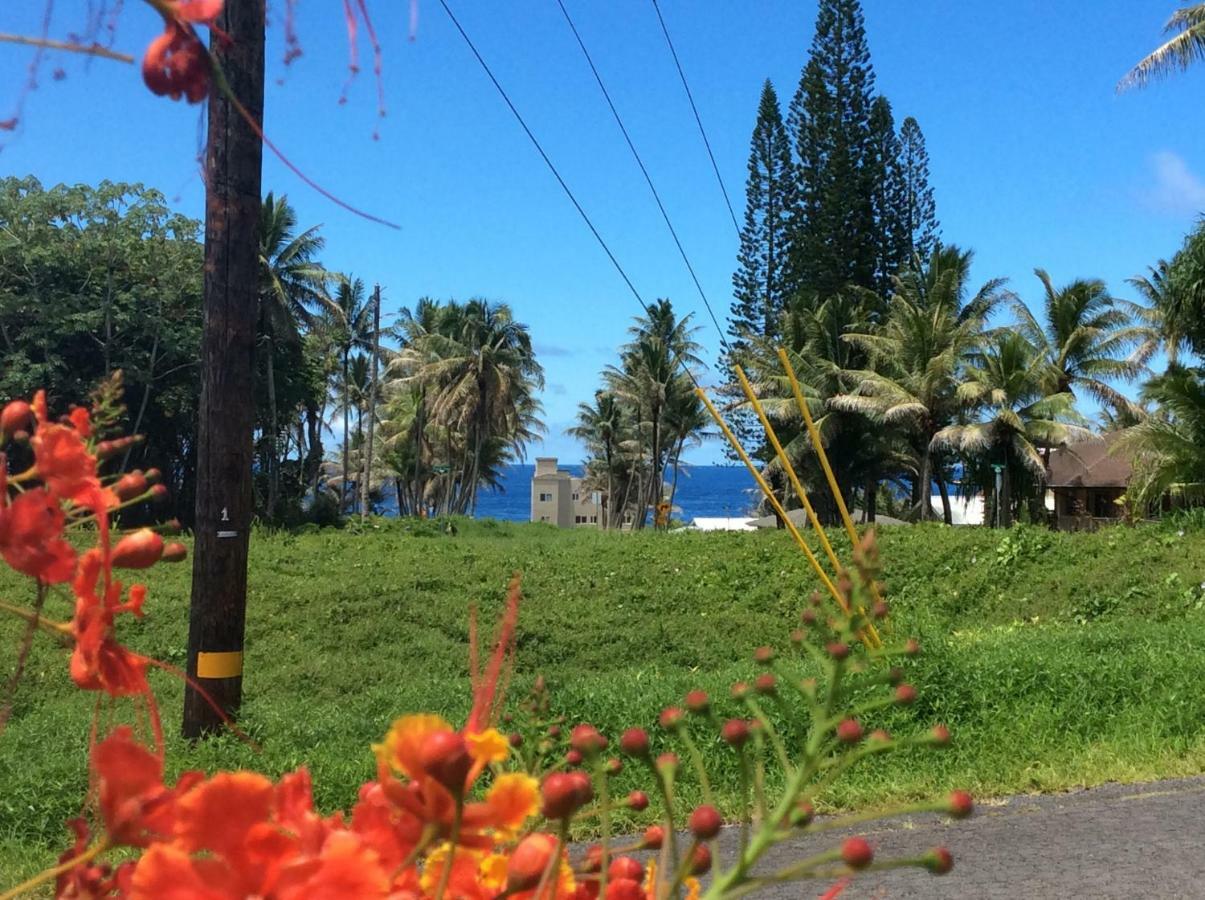Mediteranean Style Ohana Rental / Garden Bungalow In Pahoa Honolulu Landing Εξωτερικό φωτογραφία